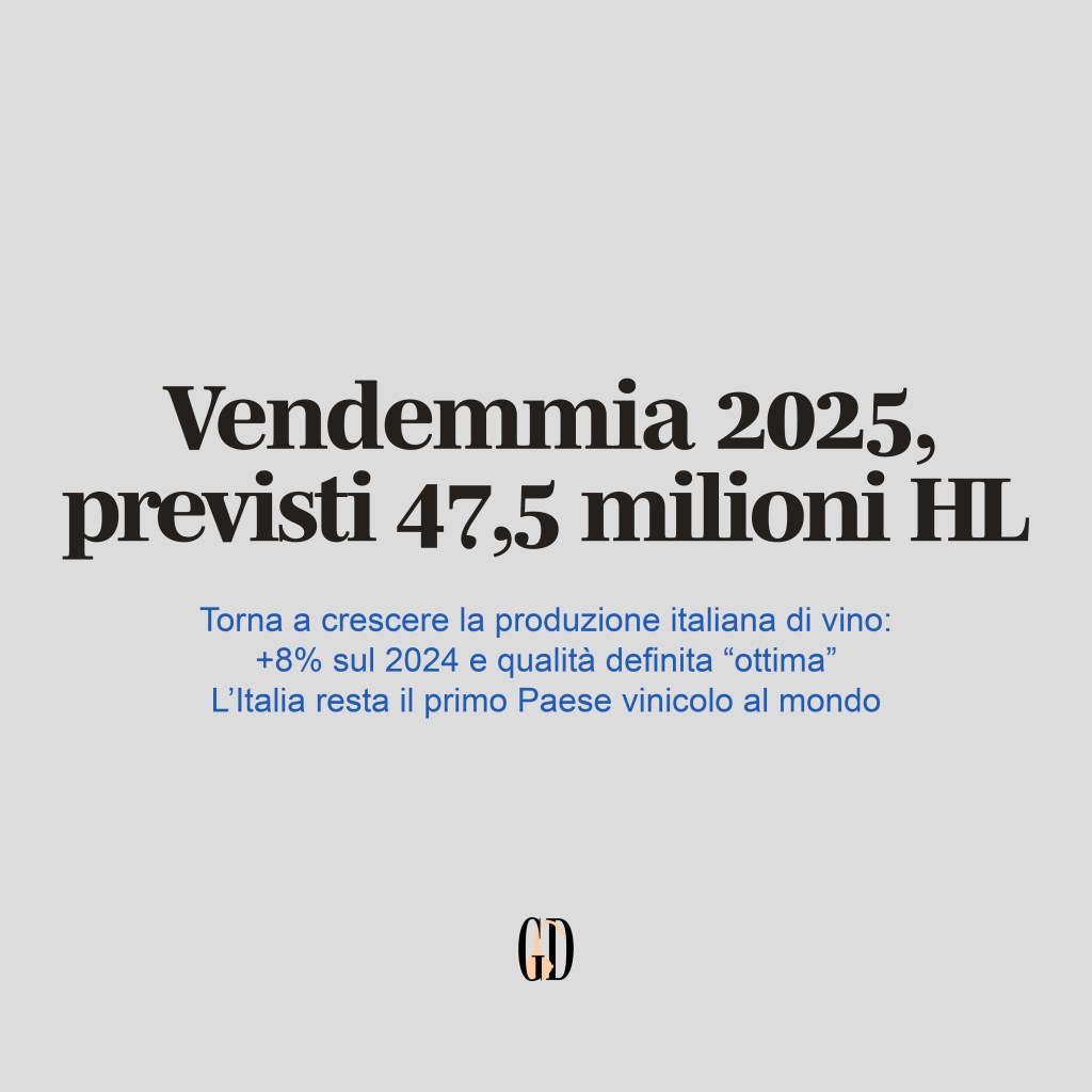 Vendemmia 2025, previsti 47,5 milioni&nbsp;HL